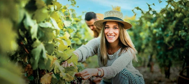 Dão Private Tour: Visit 3 Wineries with Tastings & Lunch - Exploring the Dão Private Wine Tour in Detail