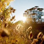 d'Arenberg McLaren Vale: The Blending Bench - Who Should Consider This Tour?