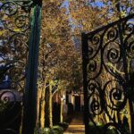 Dark Side of Charleston Guided Night-Time Walking Tour - In-Depth Review of the Dark Side of Charleston Tour