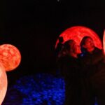Dark Sky Indoor Maori Cultural Astronomy Experience - Who Should Book This Tour?
