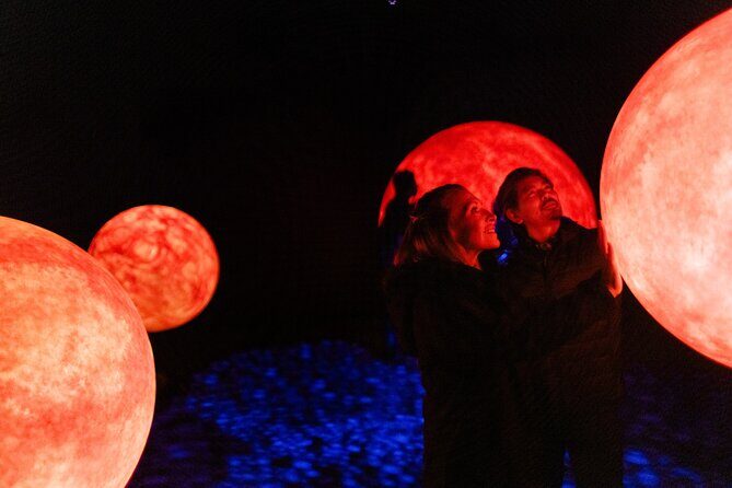 Dark Sky Indoor Maori Cultural Astronomy Experience - Who Should Book This Tour?