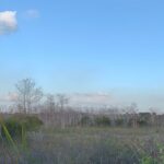 Dark Sky's in the Florida Everglades - Final Thoughts