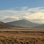 Dartmoor National Park: Half Day Guided Hiking Tour - The Itinerary: A Closer Look