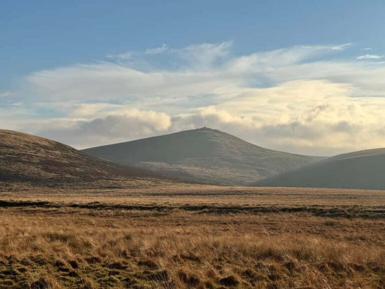 Dartmoor National Park: Half Day Guided Hiking Tour - The Itinerary: A Closer Look