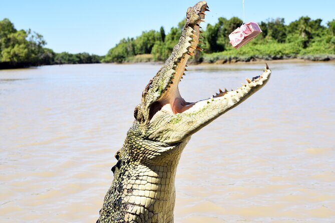 Darwin: Adelaide River Queen Original Jumping Crocodile Cruise - The Sum Up: Is It Worth It?
