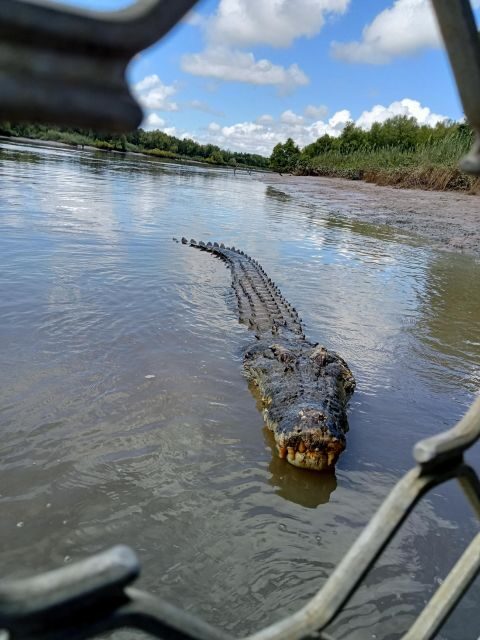 Darwin and Crocodile Tour - What Makes This Tour Stand Out?