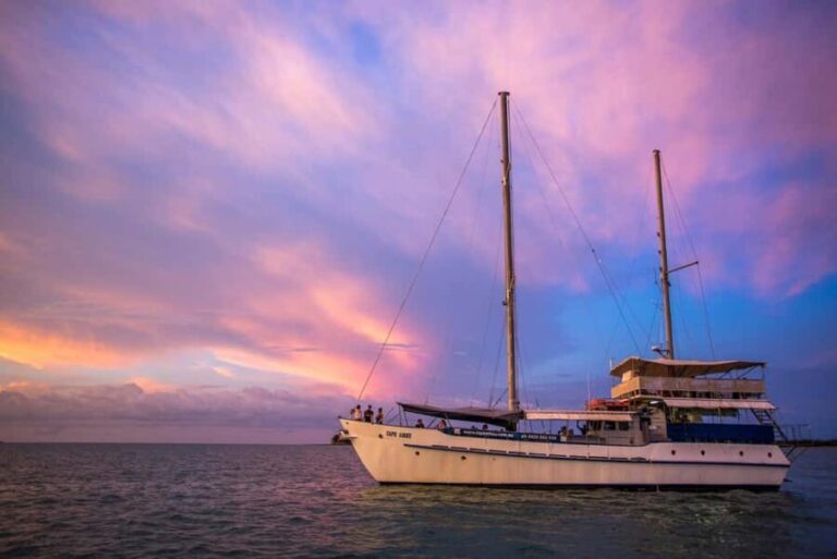 Darwin: Cape Adieu Sunset Cruise with 4-Course Dinner - Practical Tips for Your Cruise