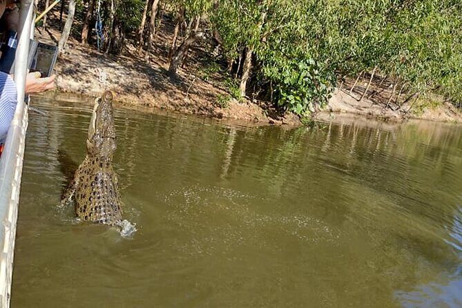 Darwin City Tour + Crocodile Cruise+Lunch Optional - Who Should Consider This Tour?