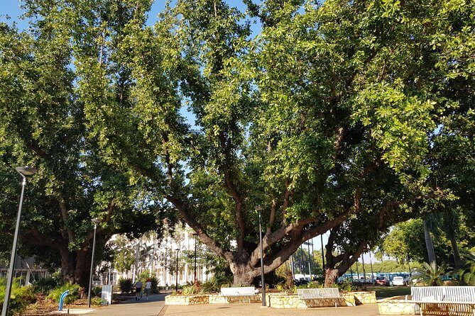 Darwin Heritage Walk - Frequently Asked Questions