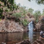 Darwin: Litchfield Day Tour and Private Crocodile Cruise - Why This Tour Works Well