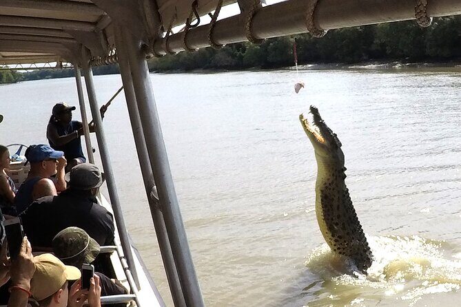 Darwin: Pathfinder Original Jumping Crocodile Cruise - Who Should Consider This Tour?