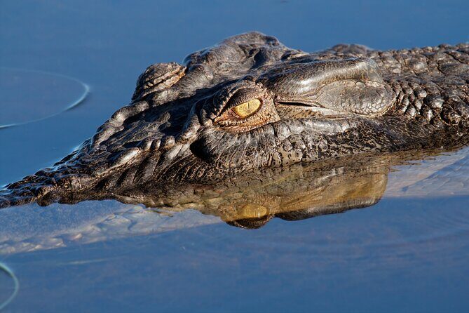 Darwin to Kakadu Day Trip by Air Including Yellow Water Cruise - The Sum Up
