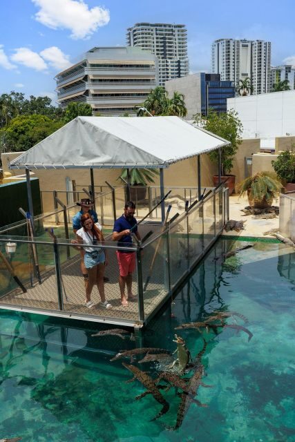 Darwin: VIP Crocosaurus Cove Experience