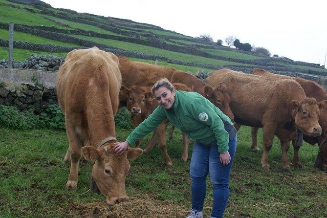 Day at the Farm - What Reviewers Say