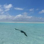 Day cruises to Tetiaroa - The Journey Begins: What to Expect