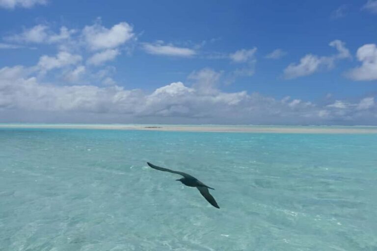 Day cruises to Tetiaroa - The Journey Begins: What to Expect