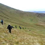 Day Hike: Hidden Paths On Pen y Fan In The Brecon Beacons - An Authentic Mountain Journey: What to Expect