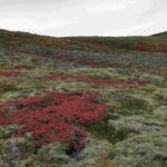 Day Hike to Grimannsfell: Waterfall & Legacy - moderate - Exploring the Hiking Experience in Detail