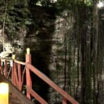 Day of the Dead Tour & Taco buffet - Final Thoughts: Is This Tour Worth It?