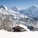 Day Sledding in Interlaken - Why This Tour Offers Good Value
