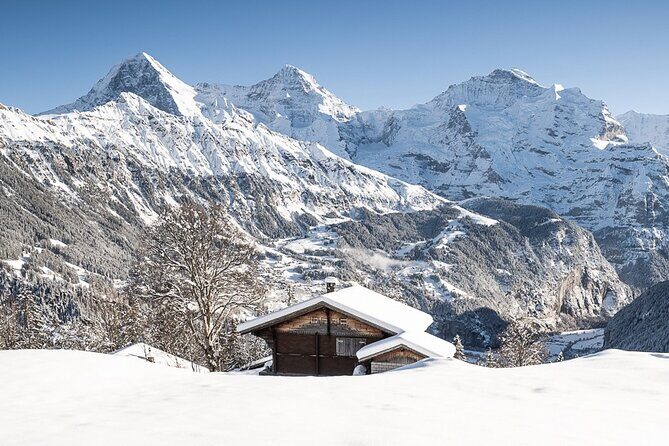 Day Sledding in Interlaken - Why This Tour Offers Good Value