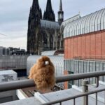 Day tour Aachen & Cologne from Brussels - The Sum Up