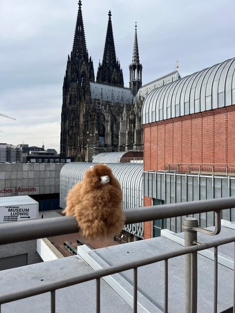 Day tour Aachen & Cologne from Brussels - The Sum Up