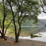 Day Tour from Dublin: Wicklow Mountains, Glendalough, Powerscourt - The Practicalities