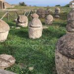 Day tour from Rome to the Etruscan necropolis of Tarquinia and Cerveteri - Who Would Enjoy This Tour?