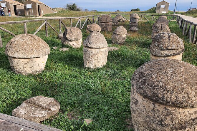 Day tour from Rome to the Etruscan necropolis of Tarquinia and Cerveteri - Who Would Enjoy This Tour?