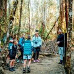 Day Tour in Mt. Field, Mt. Wellington, Bonorong Wildlife Sanctuary and Richmond - A Deep Dive into Tasmania’s Top Sights