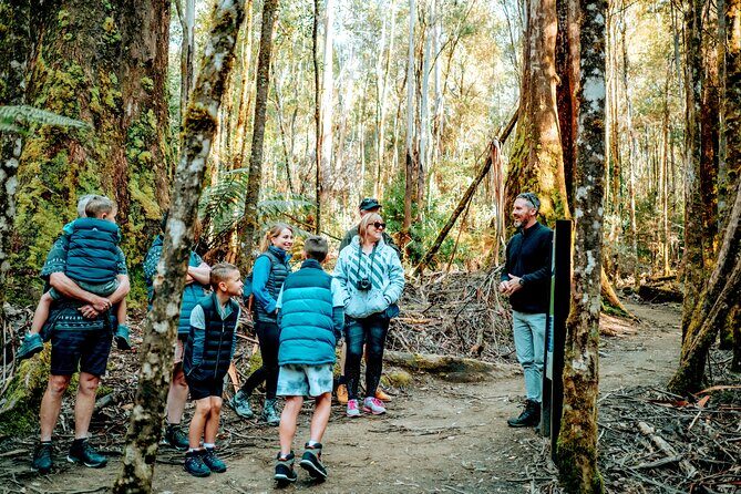 Day Tour in Mt. Field, Mt. Wellington, Bonorong Wildlife Sanctuary and Richmond - A Deep Dive into Tasmania’s Top Sights