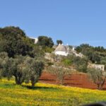 Day Tour of Bari, Alberobello, Matera - An In-Depth Look: Touring Bari, Alberobello, and Matera