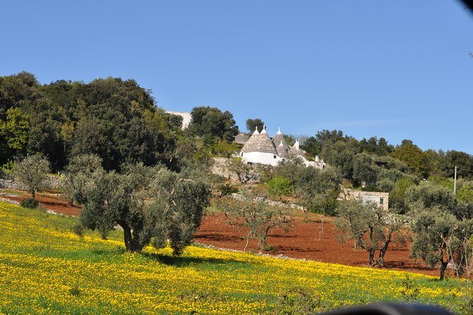 Day Tour of Bari, Alberobello, Matera - An In-Depth Look: Touring Bari, Alberobello, and Matera
