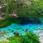 Day Tour of Gjirokastra & Blue Eye from Tirana or Durres - Practical Insights: What to Expect