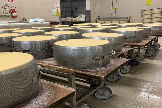 Day Tour Parmigiano, Ferrari Museum, Balsamic, Lambrusco, Lunch with Transfer - The Sum Up