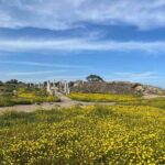 Day Tour to Famagusta, Ghost Town & Ancient Salamis - What Travelers Say