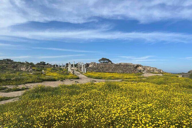 Day Tour to Famagusta, Ghost Town & Ancient Salamis - What Travelers Say