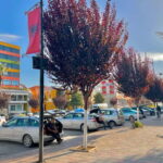 Day Tour to Fier  Discover Albanias Historical Heart - What Makes This Tour Stand Out?