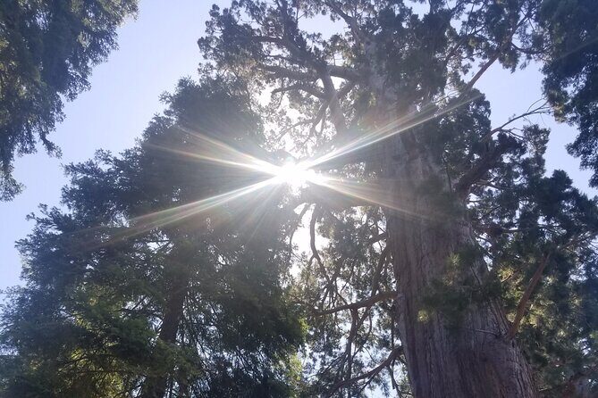 Day Tour to Kings Canyon National Park - What’s Included and How It Adds to Value