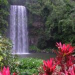Day Tour to Paronella Park, Lake Barrine and Millaa Millaa Falls - Final Thoughts: Is This Tour Right for You?