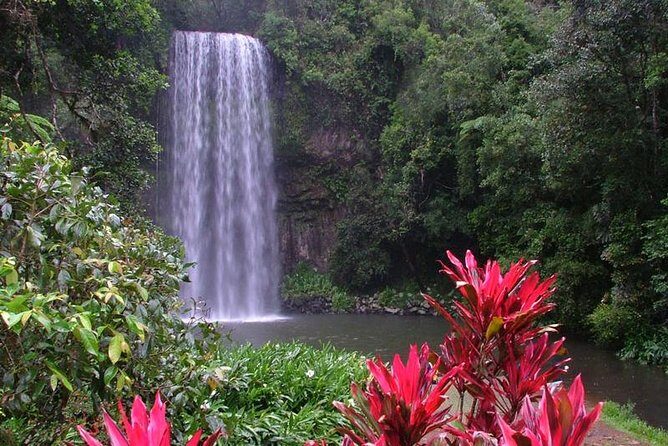 Day Tour to Paronella Park, Lake Barrine and Millaa Millaa Falls - Final Thoughts: Is This Tour Right for You?
