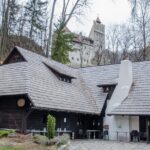 Day Trip Bear Sanctuary, Bran Castle, Rasnov Fortress from Brasov - Who Would Love This Tour?