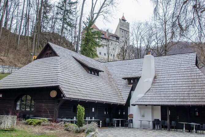 Day Trip Bear Sanctuary, Bran Castle, Rasnov Fortress from Brasov - Who Would Love This Tour?