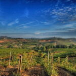 Day Trip Florence with the leaning tower of Pisa - FAQ