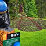 Day Trip Flower Island of Mainau including Meersburg - Who Will Love This Tour?