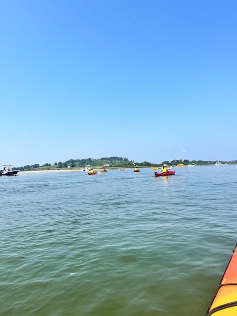 Day Trip from Boston: Guided Kayak at the Crane Estate - A Thorough Look at the Experience