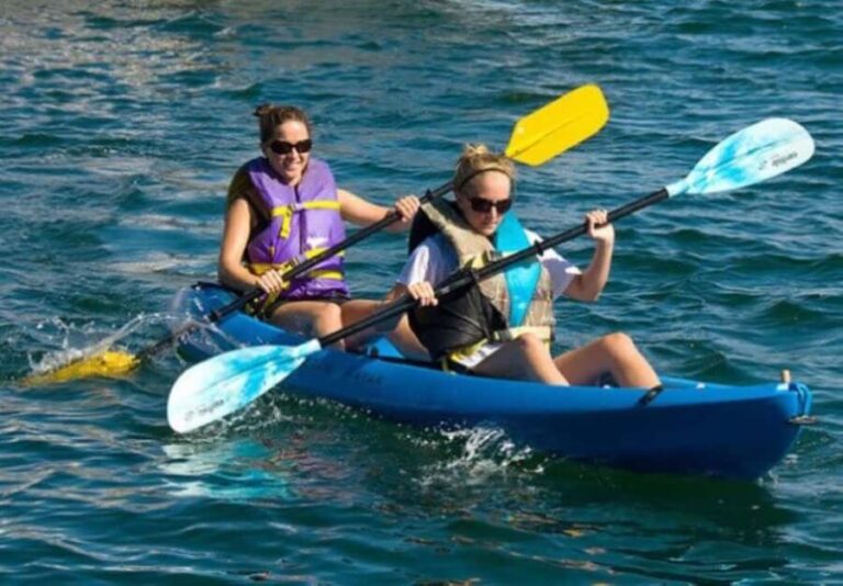 Day Trip From Boston: Kayak Tour through Gloucester Harbor - What to Expect from the Tour