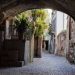 Day trip from Milan: cave paintings in the enchanting Val Camonica - Authentic Experiences and Value