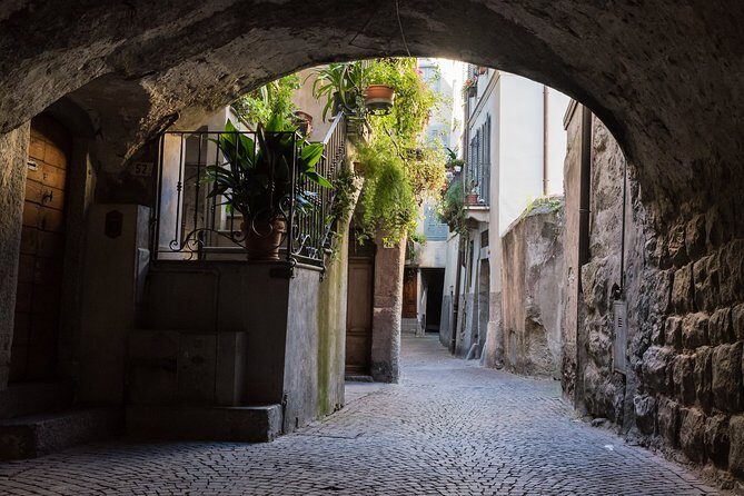 Day trip from Milan: cave paintings in the enchanting Val Camonica - Authentic Experiences and Value
